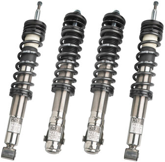 Audi RVS TwinTube schroefset Audi A3/Seat Leon/Toledo/Skoda Octavia/Volkswagen Beetle/Bora/Golf IV VA40-70/AA30-60mm