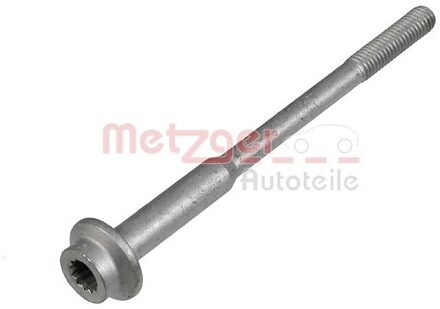 Audi Schroef, inspuitstukhouder 0873031