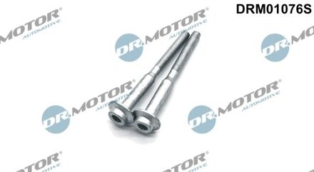 Audi Schroef, inspuitstukhouder DRM01076S