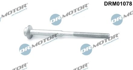 Audi Schroef, inspuitstukhouder DRM01078