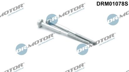 Audi Schroef, inspuitstukhouder DRM01078S
