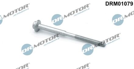 Audi Schroef, inspuitstukhouder DRM01079