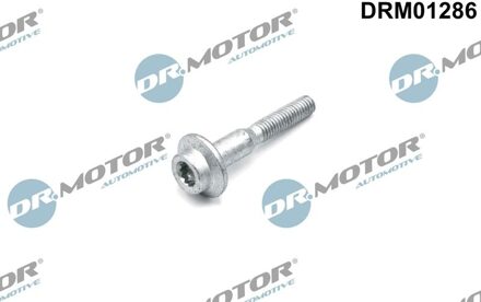 Audi Schroef, inspuitstukhouder DRM01286