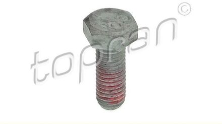 Audi Schroef, remzadel 110710