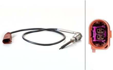 Audi Sensor, uitlaatgastemperatuur 6PT014494691