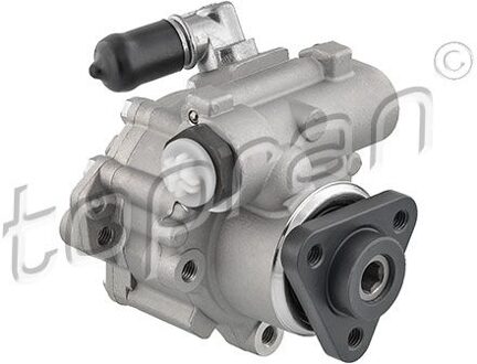 Audi Servo pomp 112445