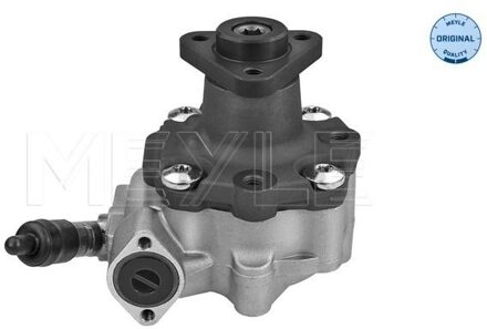 Audi Servo pomp 1146310035