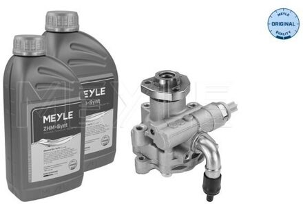 Audi Servo pomp 1146310041S