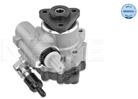 Audi Servo pomp 1146310046