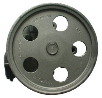 Audi Servo pomp 54183