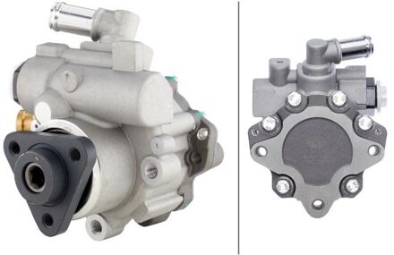 Audi Servo Pomp 8tl 8TL359000191