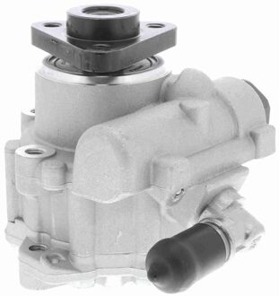 Audi Servo pomp V100571