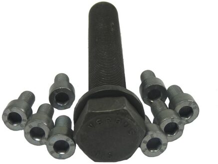 Audi Set schroeven voor riemschijf-nokkenas 80001262
