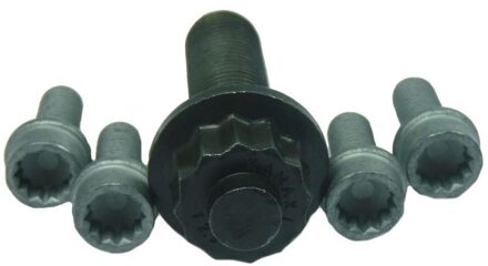 Audi Set schroeven voor riemschijf-nokkenas 80001265