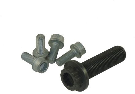 Audi Set schroeven voor riemschijf-nokkenas 80005272