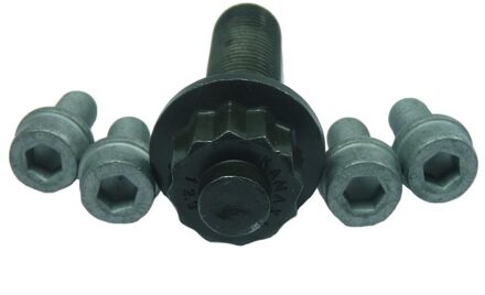 Audi Set schroeven voor riemschijf-nokkenas