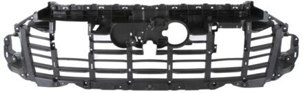 Audi Sier- / Beschermingspaneel, radiateurgrille 6502070052994P
