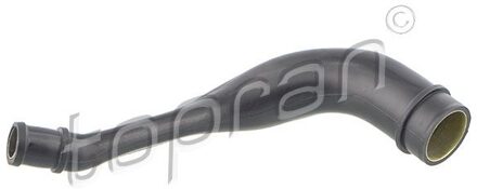 Audi Slang, cilinderkopontluchting 113318