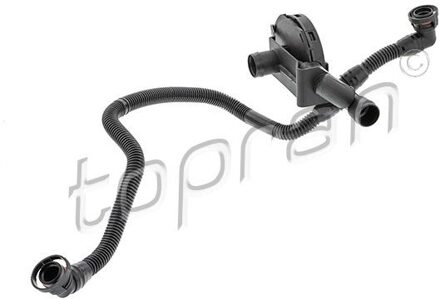 Audi Slang, cilinderkopontluchting 116426