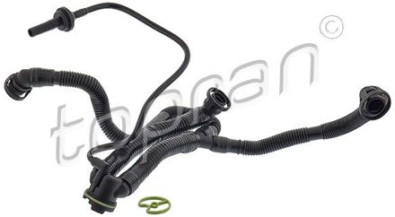 Audi Slang, cilinderkopontluchting 116499