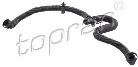 Audi Slang, cilinderkopontluchting 117320