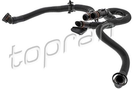 Audi Slang, cilinderkopontluchting 118658