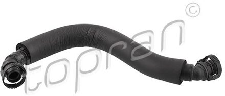 Audi Slang, cilinderkopontluchting 118661