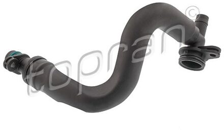 Audi Slang, cilinderkopontluchting 119273