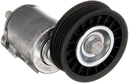 Audi Spanrol, Poly V-riem T38375