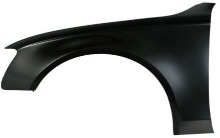 Audi Spatbord 6504040029313Q