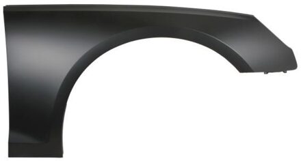 Audi Spatbord 6504040030314Q