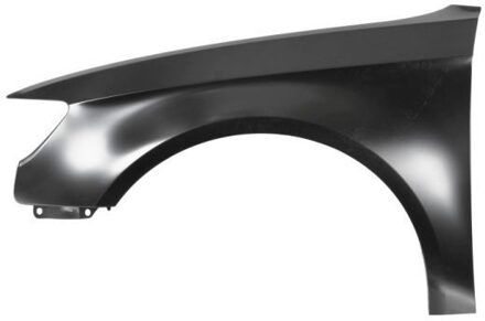 Audi Spatbord 6504040032313P