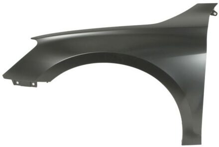 Audi Spatbord 6504040039311Q