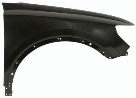 Audi Spatbord 6504040044312P