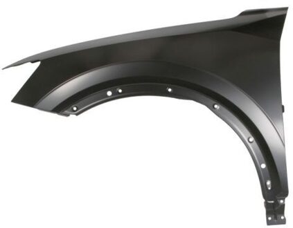 Audi Spatbord 6504040046311P