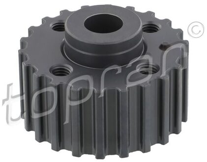 Audi Tandwiel, krukas 100296