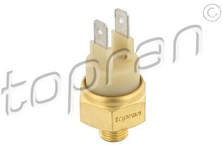 Audi Temperatuursensor 100684