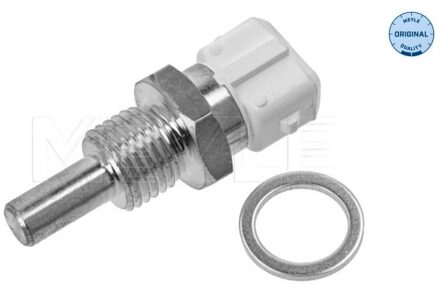 Audi Temperatuursensor 1009190013