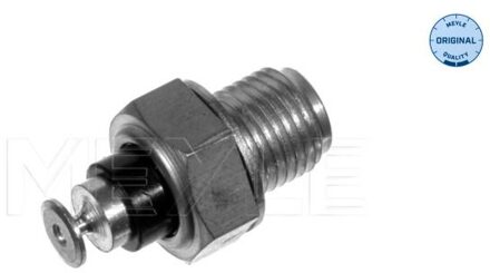 Audi Temperatuursensor 1009190015