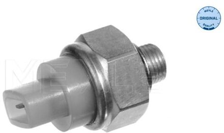 Audi Temperatuursensor 1009190027