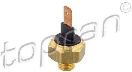 Audi Temperatuursensor 102677