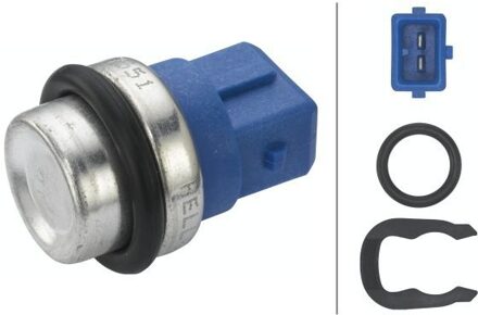 Audi Temperatuursensor