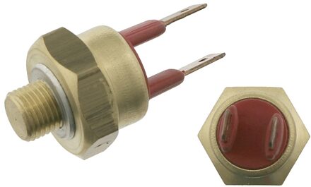 Audi Thermische Schakelaar