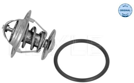 Audi Thermostaat, koelvloeistof 1001210048