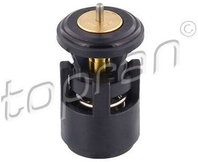 Audi Thermostaat, koelvloeistof 100616