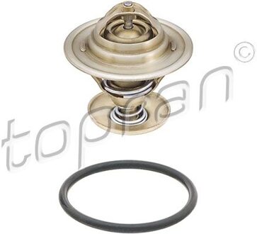 Audi Thermostaat, koelvloeistof 101094