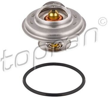 Audi Thermostaat, koelvloeistof 101522