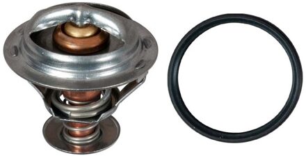 Audi Thermostaat, koelvloeistof TH58392G1