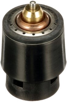 Audi Thermostaat, koelvloeistof TH598105