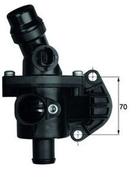 Audi Thermostaat, koelvloeistof TM6109